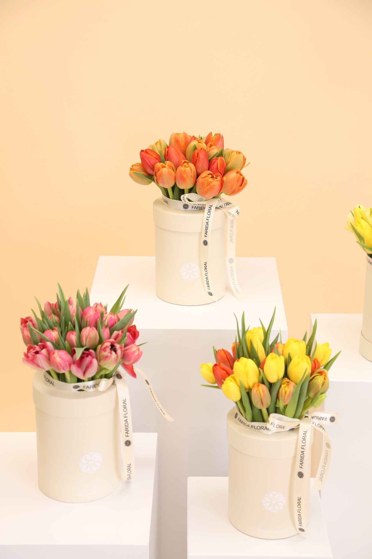 Seasonal Tulip Flower Box