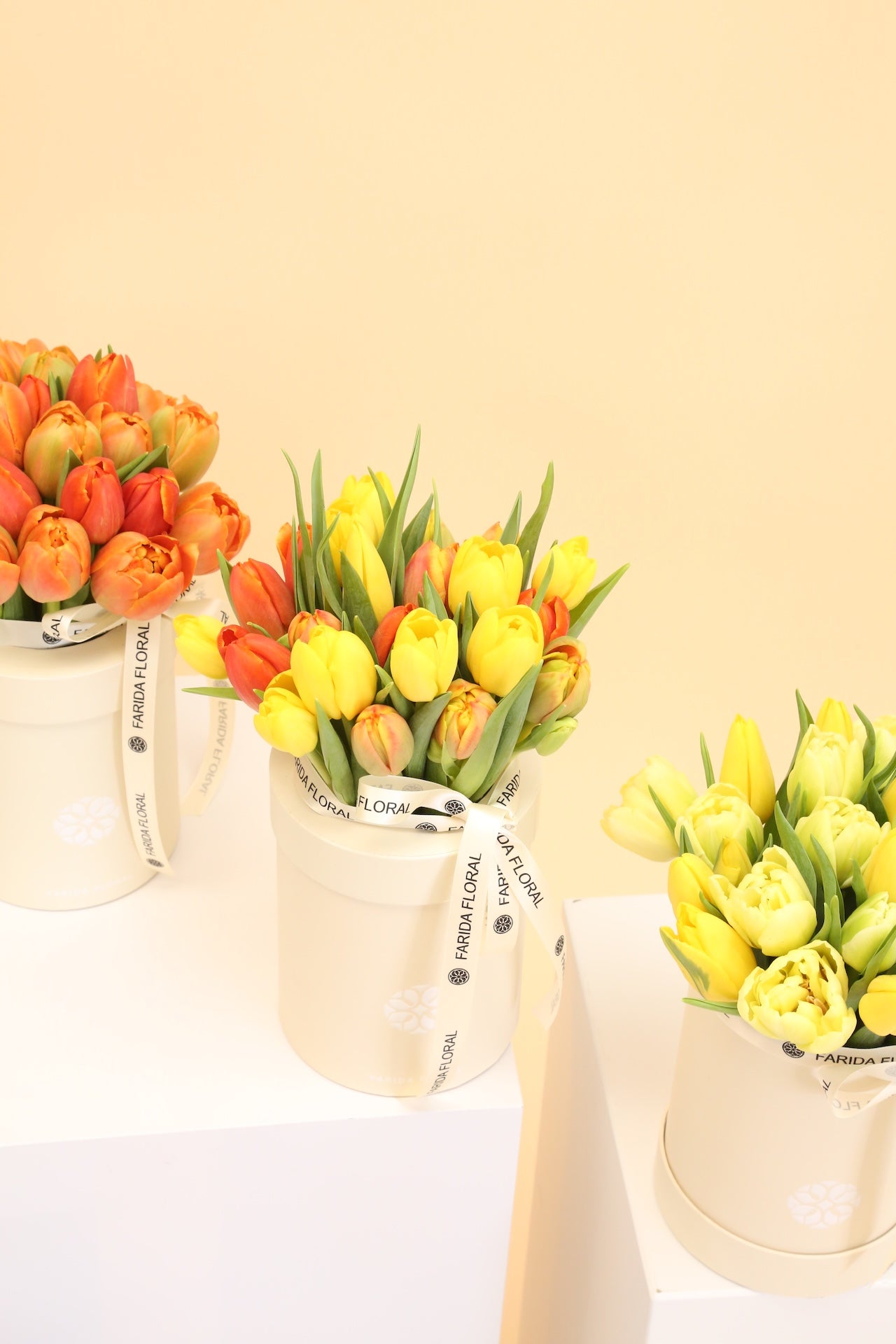 Seasonal Tulip Flower Box