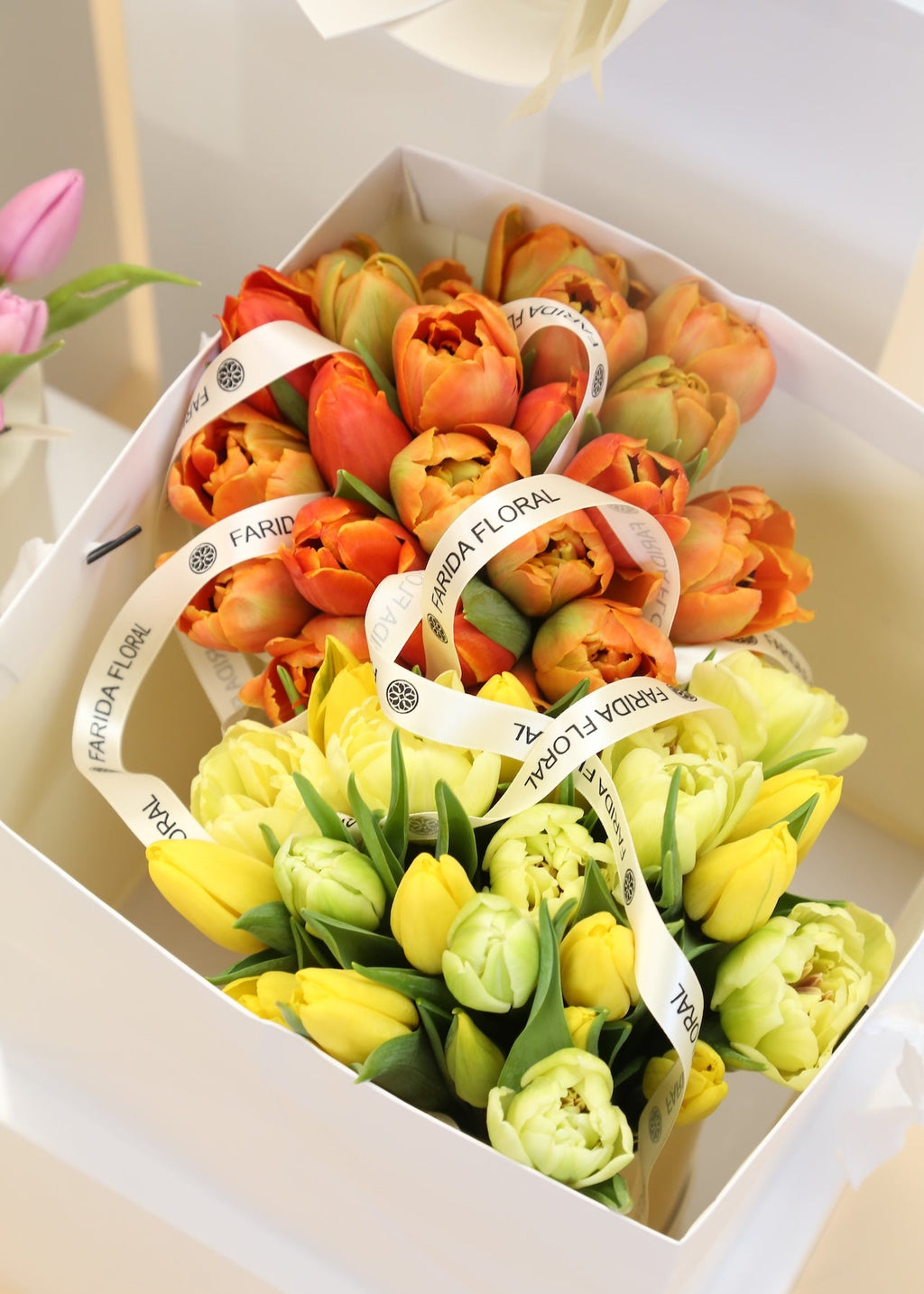 Tulip Bundle
