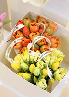 Tulip Bundle