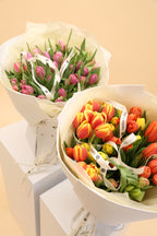 Tulip Bundle