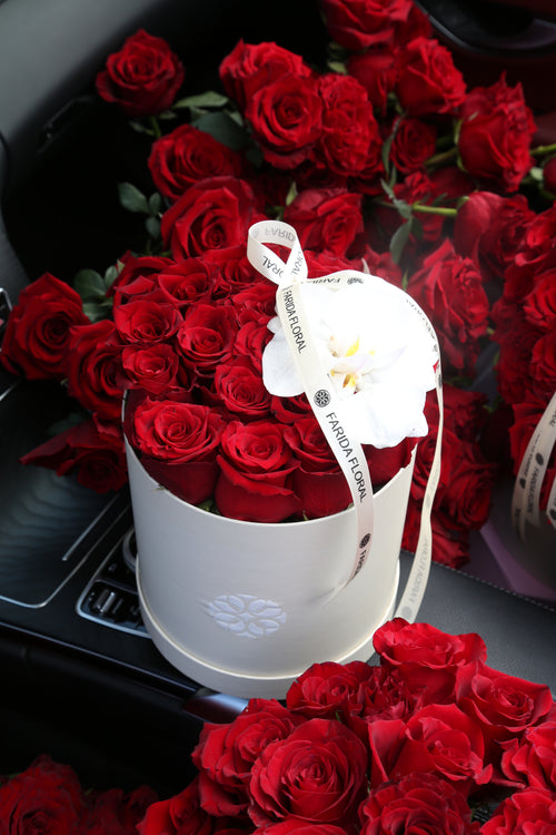 Classic Roses Red