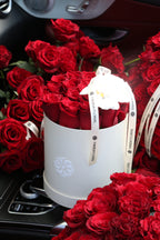 Classic Roses Red