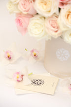 Signature Rose Designer's Choice
