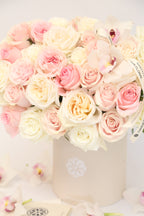 Signature Rose Designer's Choice