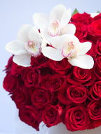 Valentine's Day Special