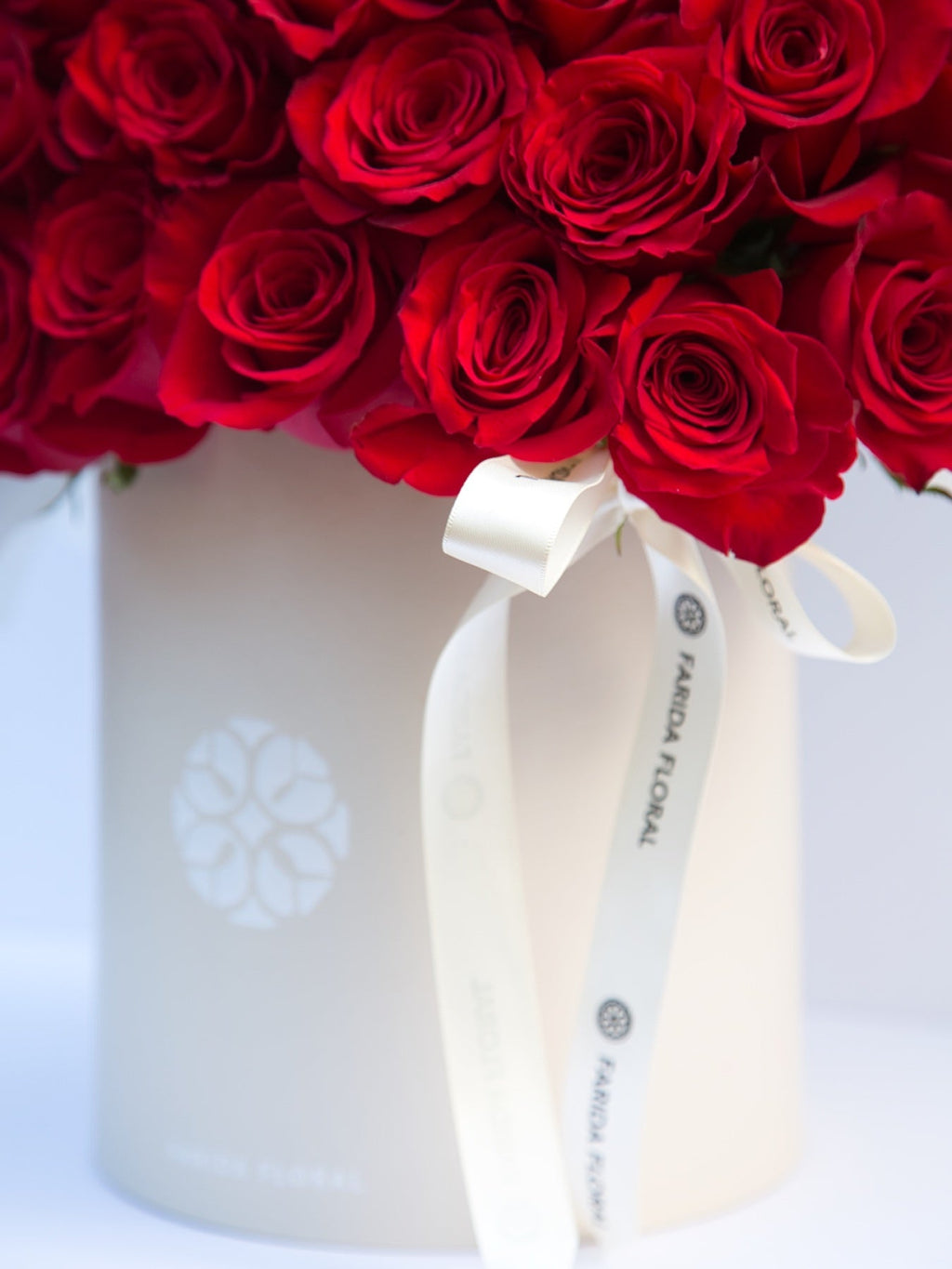 Valentine's Day Special