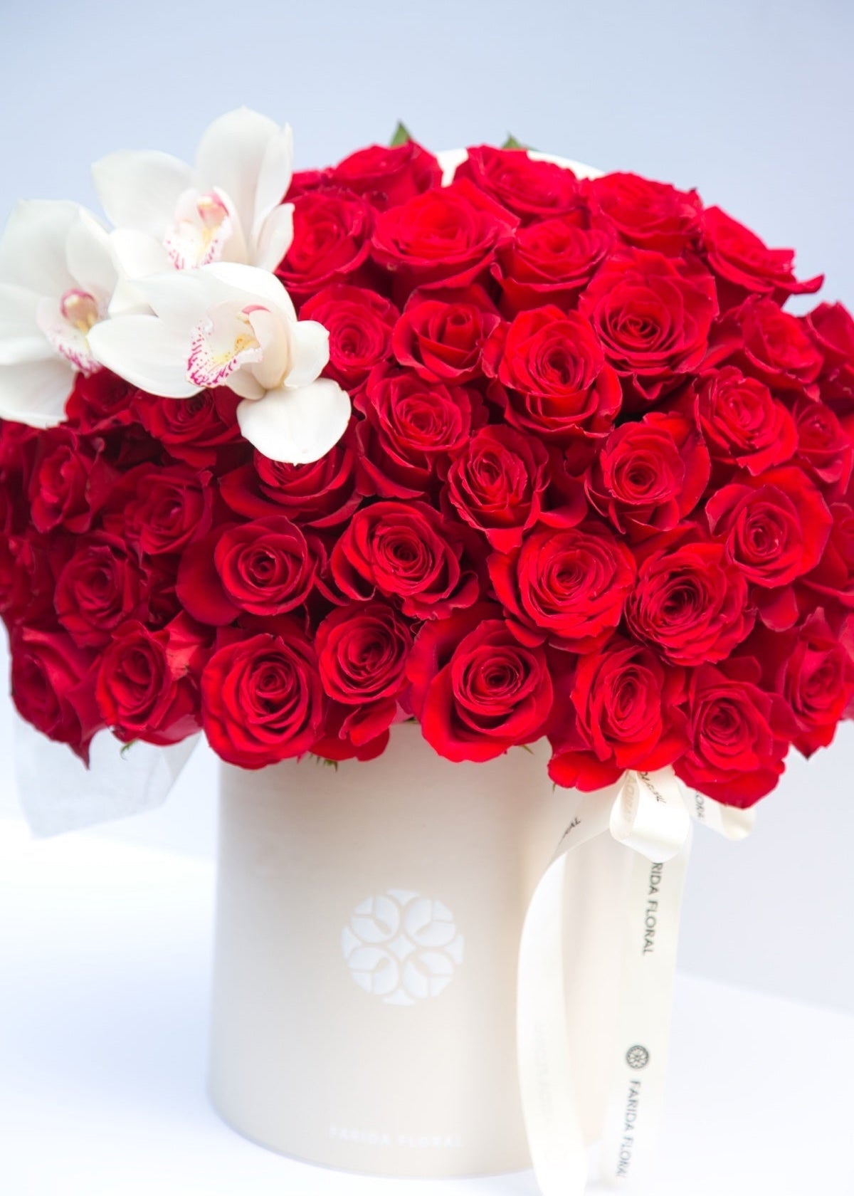 Valentine's Day Special