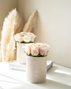 Classic Roses Pink Checkered
