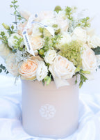 Pastel Perfection