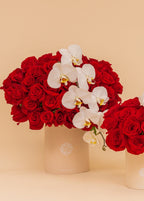 Signature Rose Box Red