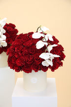 Signature Rose Box Red