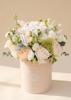 Pastel Perfection