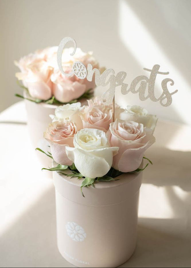 Classic Roses Pink Checkered