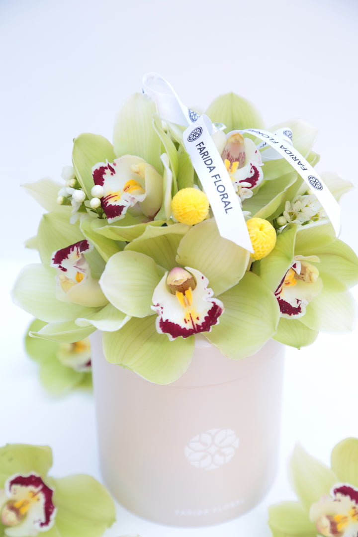 Garden Mix Cymbidium Orchids