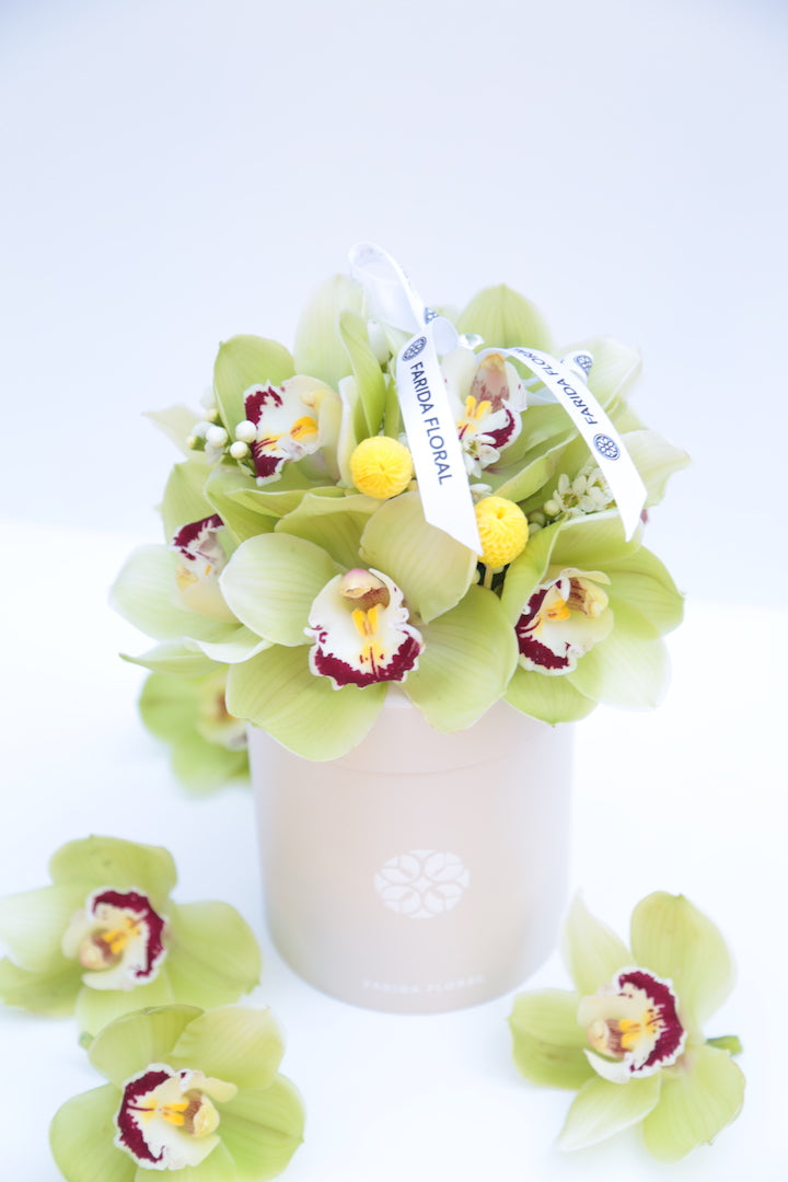 Garden Mix Cymbidium Orchids