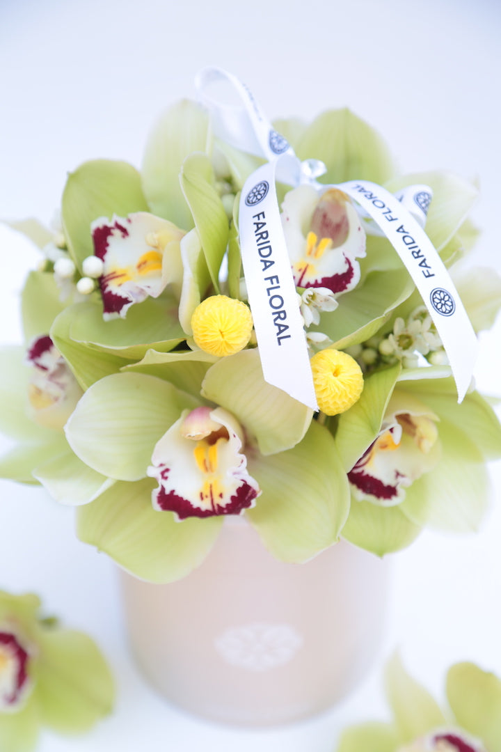 Garden Mix Cymbidium Orchids