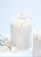 Classic Roses Ivory