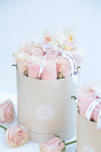 Classic Roses Pink