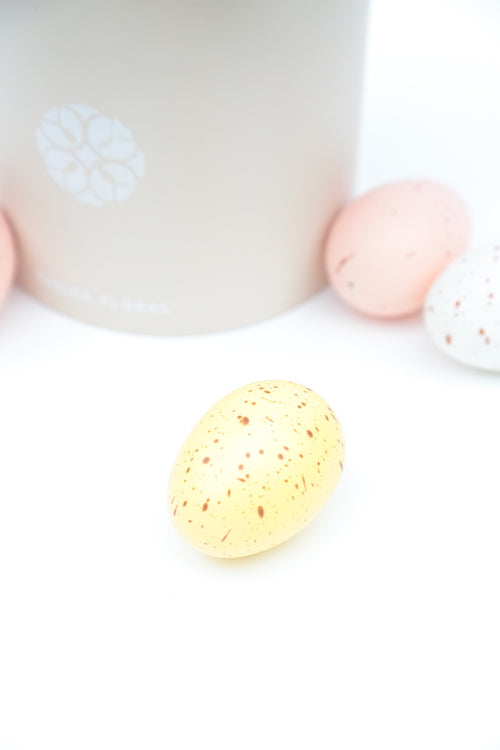 Easter Garden Mix Blue Ivy (Size Options)