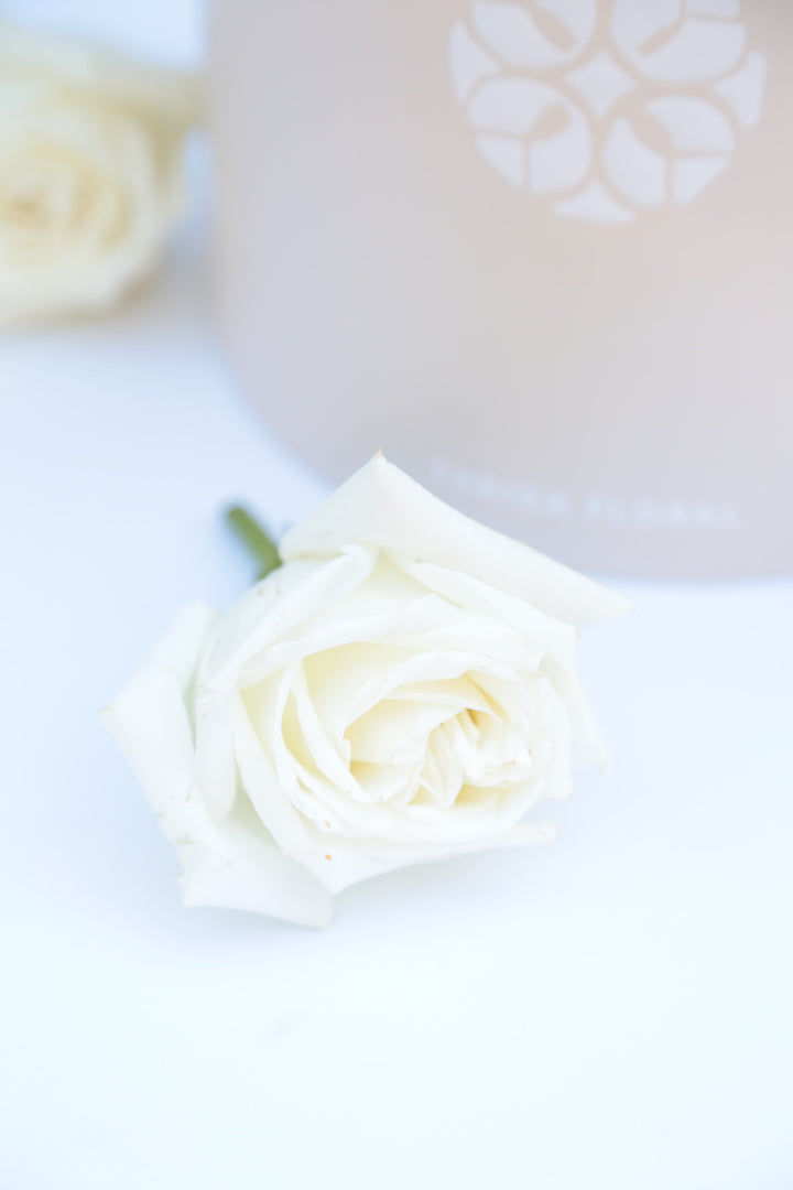 Signature Rose Box Ivory