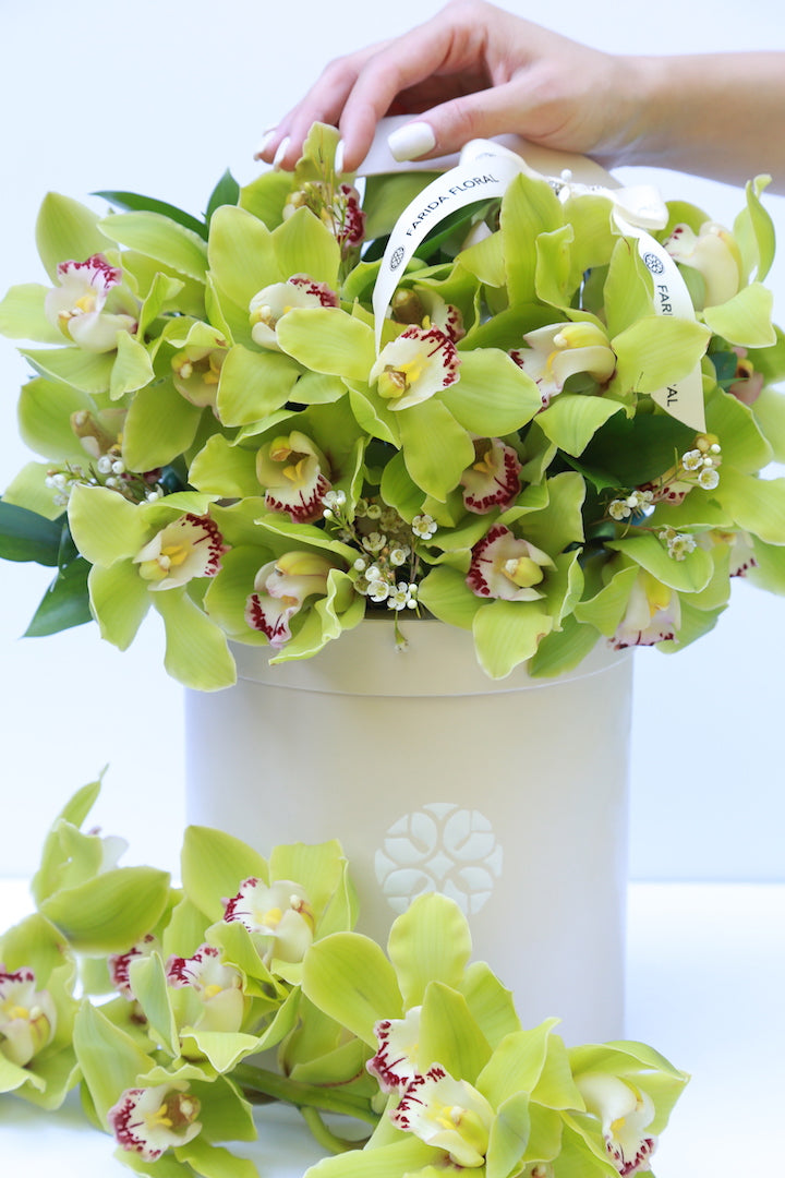 Garden Mix Cymbidium Orchids