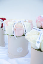 Classic Roses Pink Checkered
