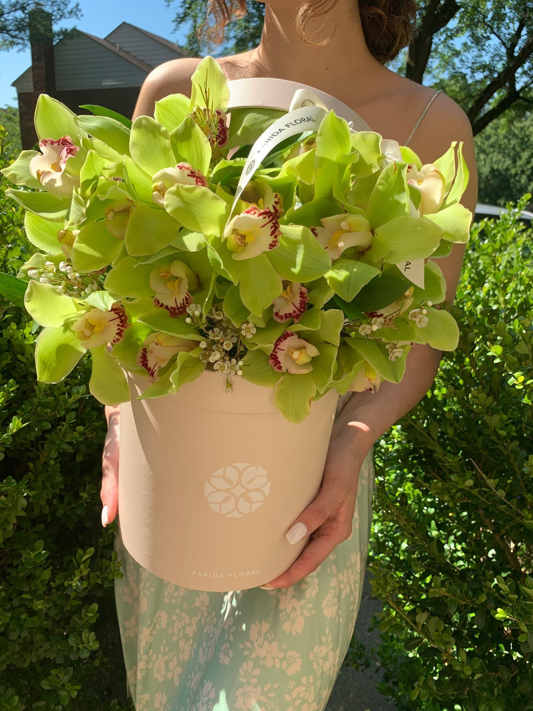 Garden Mix Cymbidium Orchids