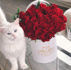 Signature Rose Box Red