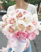 Garden Mix Cymbidium Orchids