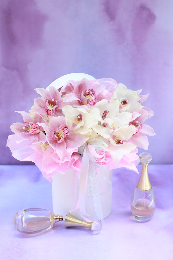 Garden Mix Cymbidium Orchids