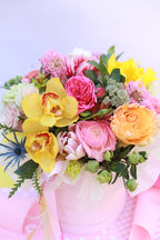 Garden Mix Designer's Choice